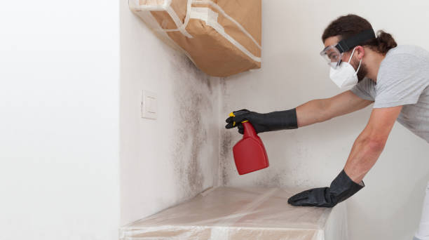Professional Crawl Space Mold Remediation technician working in Malden, MA